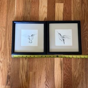 Pair of original pencil hummingbird sketches
